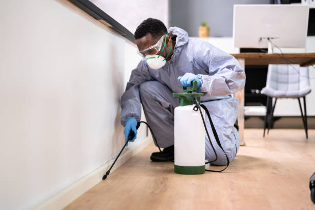 Best Residential Pest Control  in Iyanbito, NM